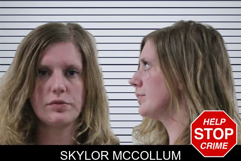 Skylor McCollum mugshot – Houston County , Georgia Skylor McCollum mugshot