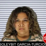 Soleybit Garcia-Turcios mugshot