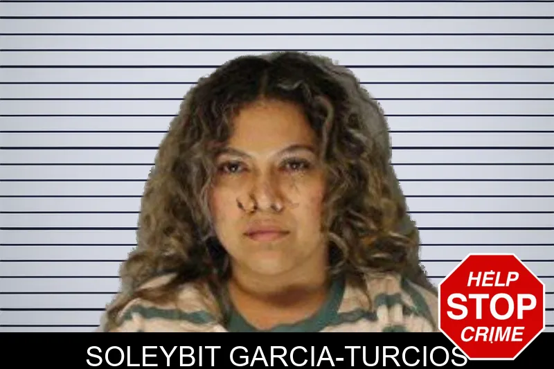 Soleybit Garcia-Turcios mugshot