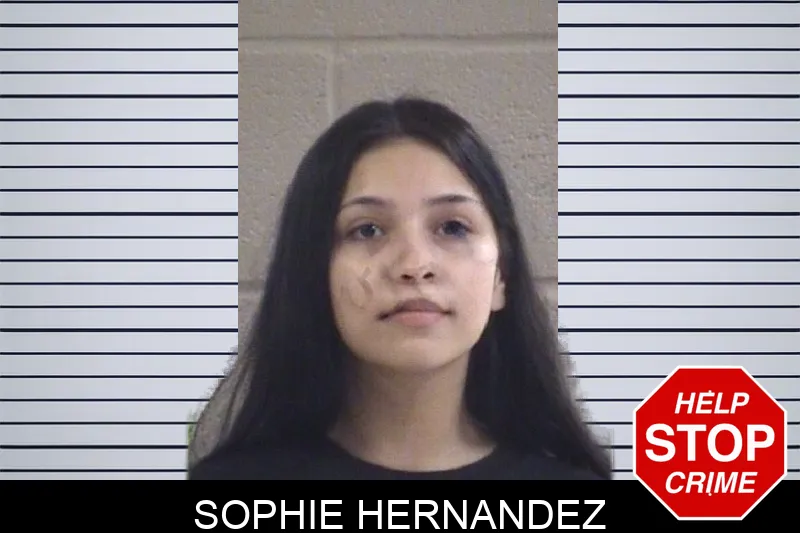 Sophie Hernandez mugshot – Whitfield County , Georgia Sophie Hernandez mugshot