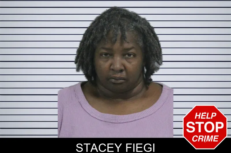 Stacey Fiegi mugshot – Catoosa County , Georgia Stacey Fiegi mugshot