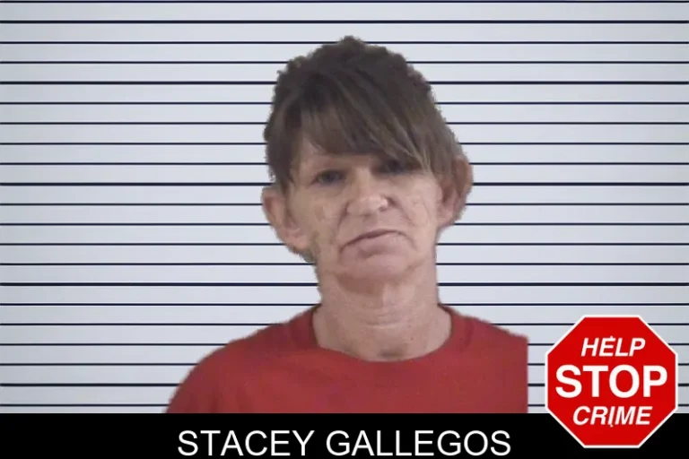 Stacey Gallegos mugshot – Whitfield County , Georgia Stacey Gallegos
