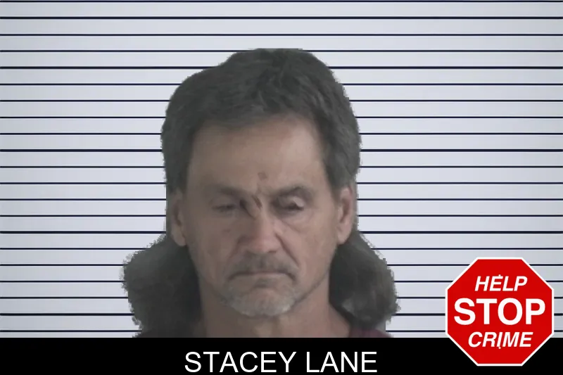 Stacey Lane mugshot – Brantley County , Georgia Stacey Lane mugshot