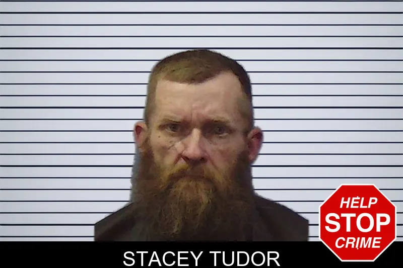 Stacey Tudor mugshot