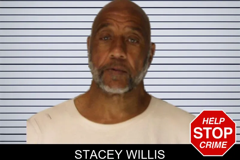 Stacey Willis mugshot