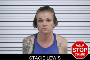 Stacie Lewis mugshot