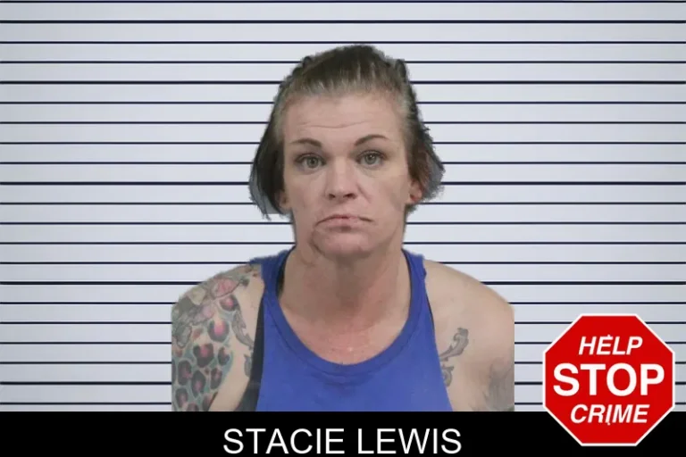 Stacie Lewis mugshot – Catoosa County , Georgia Stacie Lewis