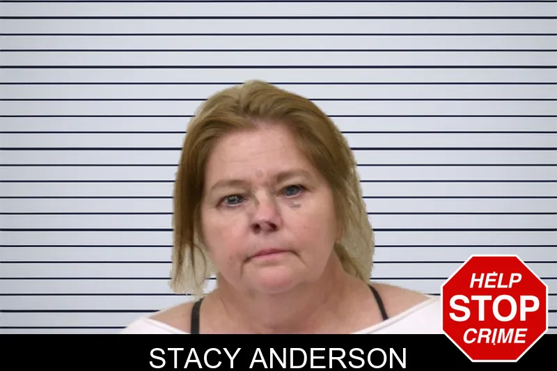 Stacy Anderson mugshot