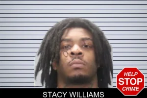 Stacy Williams mugshot