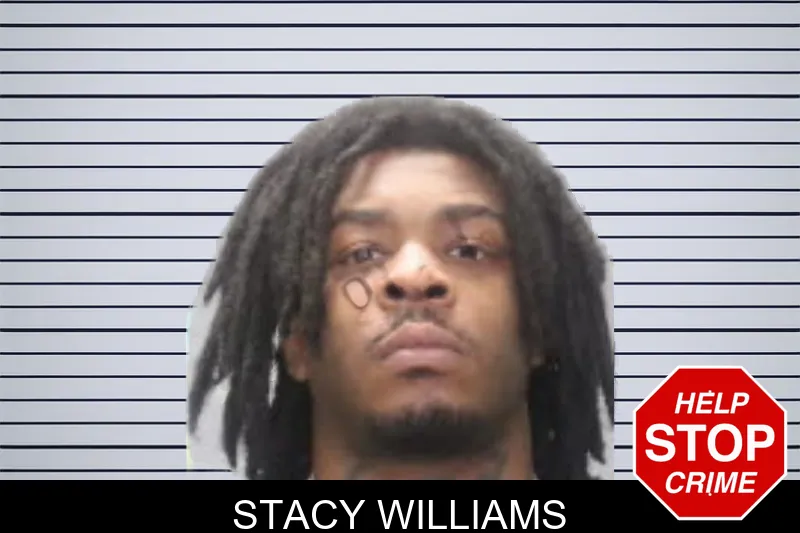 Stacy Williams mugshot