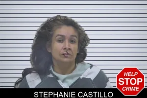 Stephanie Castillo mugshot
