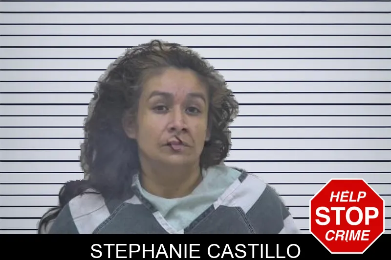Stephanie Castillo mugshot