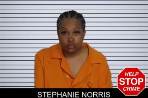 Stephanie Norris mugshot