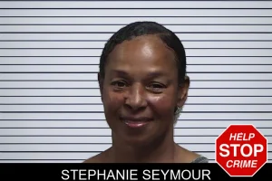 Stephanie Seymour mugshot