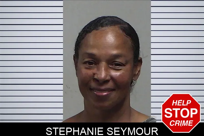 Stephanie Seymour mugshot