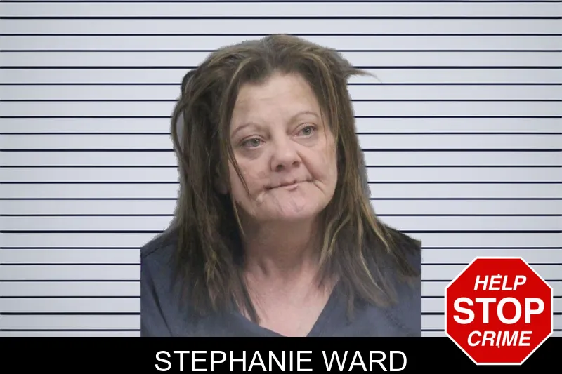 Stephanie Ward mugshot – Catoosa County , Georgia Stephanie Ward mugshot