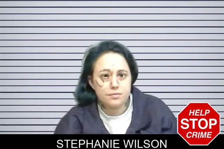 Stephanie Wilson