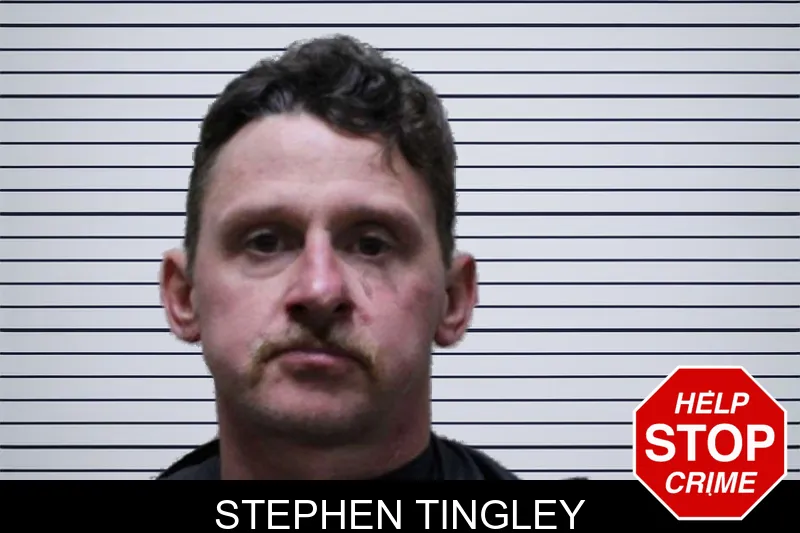 Stephen Tingley mugshot