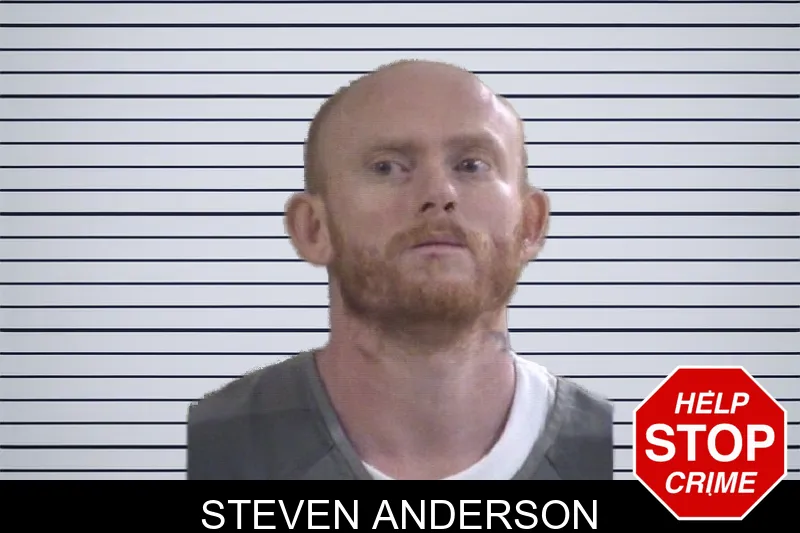 Steven Anderson mugshot