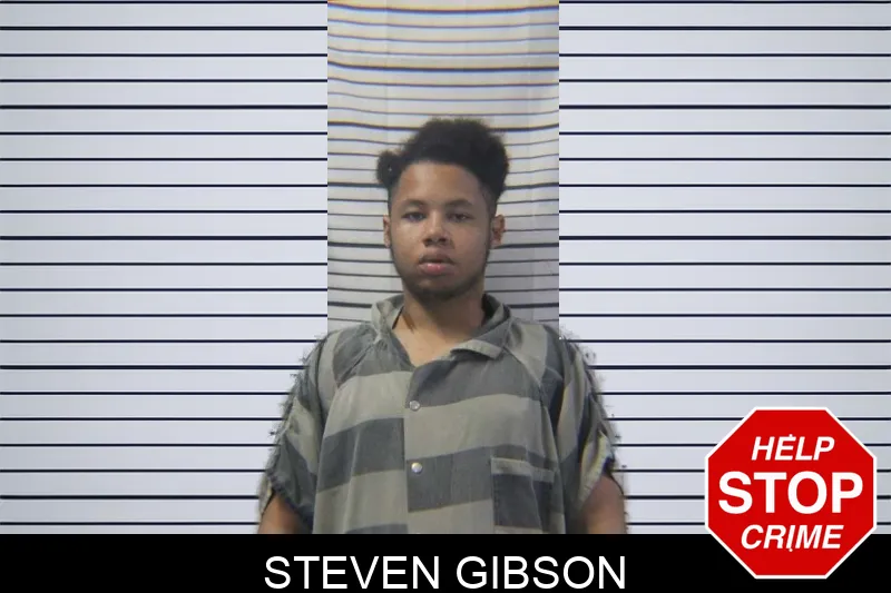 Steven Gibson mugshot