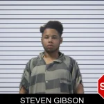 Steven Gibson mugshot