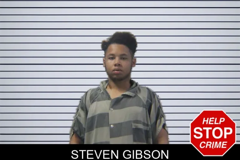 Steven Gibson mugshot – Stephens County , Georgia Steven Gibson