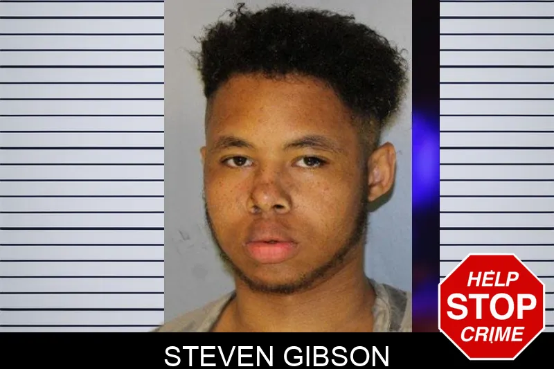 Steven Gibson mugshot – Hall County , Georgia Steven Gibson mugshot