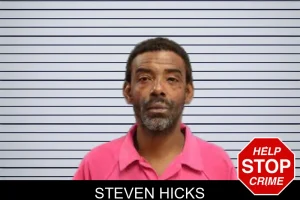 Steven Hicks mugshot
