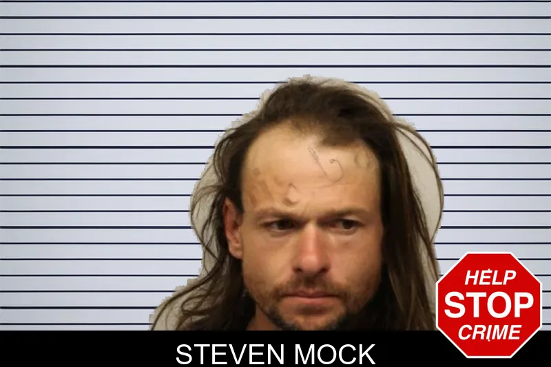 Steven Mock mugshot