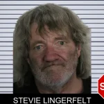 Stevie Lingerfelt mugshot