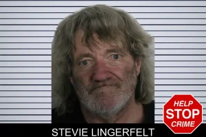 Stevie Lingerfelt mugshot