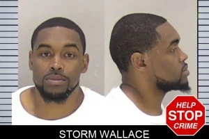 Storm Wallace mugshot