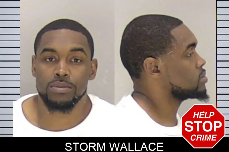 Storm Wallace mugshot