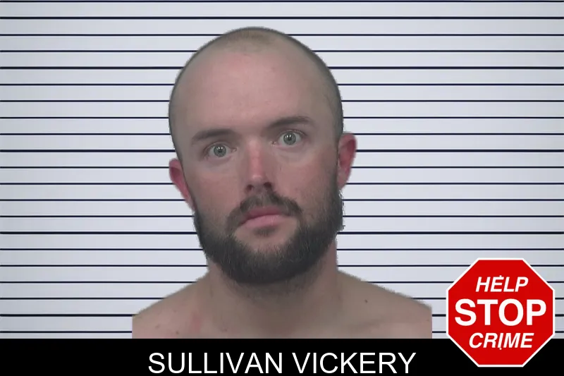 Sullivan Vickery mugshot