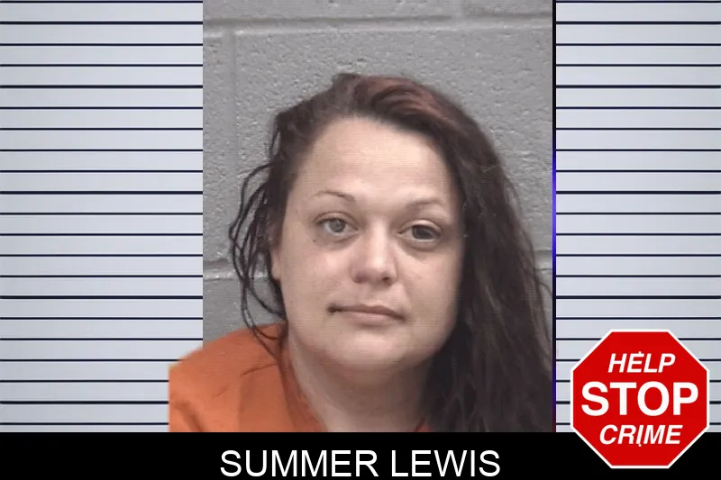 Summer Lewis mugshot