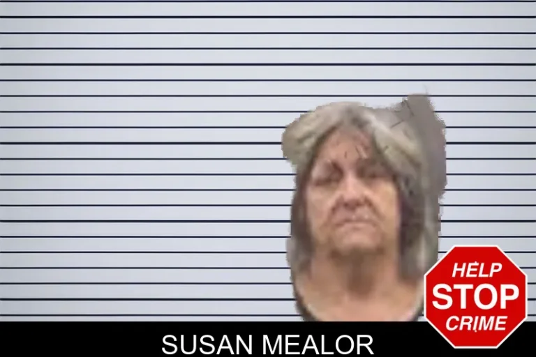 Susan Mealor