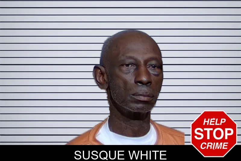 Susque White mugshot – Glynn County , Georgia Susque White mugshot