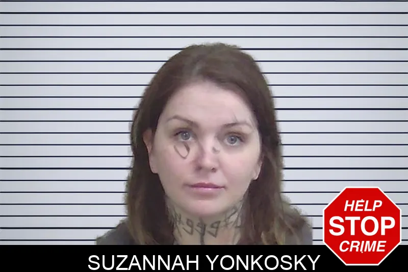 Suzannah Yonkosky mugshot – Wayne County , Georgia Suzannah Yonkosky mugshot