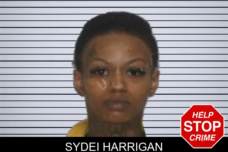 Sydei Harrigan mugshot