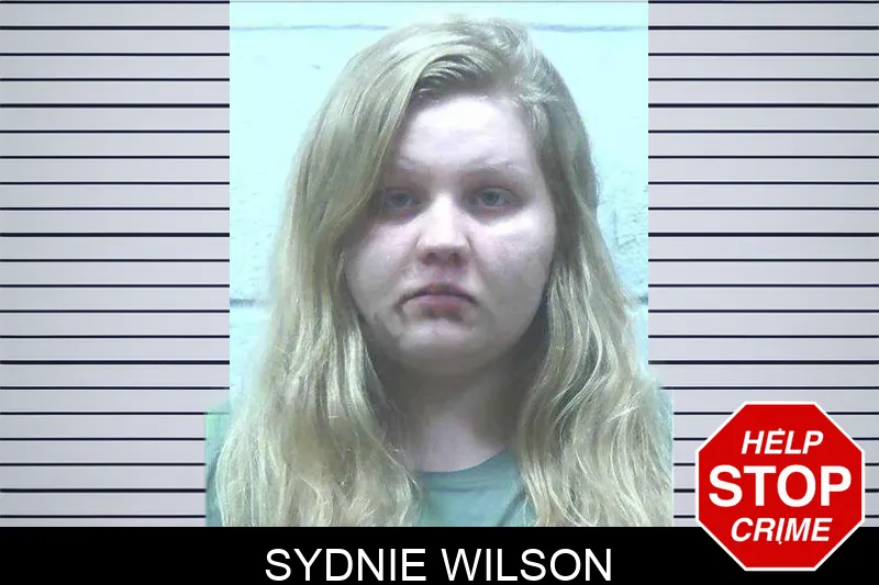 Sydnie Wilson mugshot