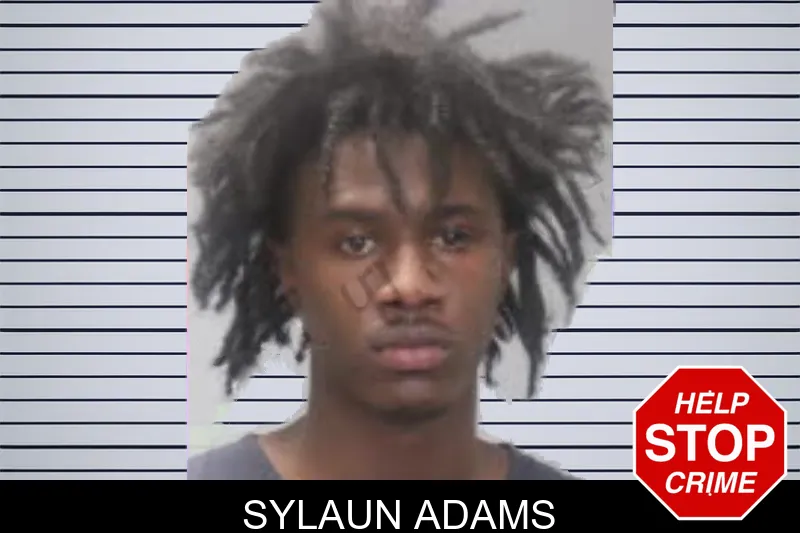 Sylaun Adams mugshot
