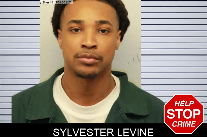 Sylvester Levine mugshot – Chatham County , Georgia Sylvester Levine mugshot