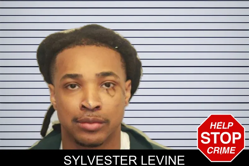 Sylvester Levine mugshot