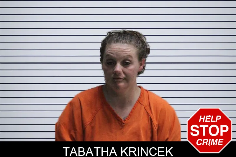 Tabatha Krincek mugshot