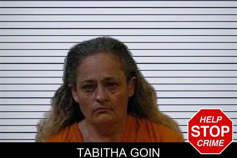 Tabitha Goin mugshot
