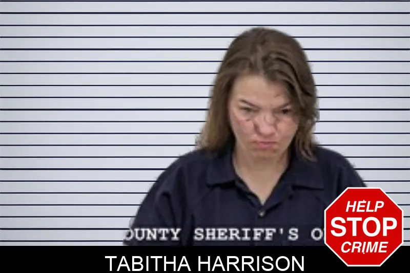 Tabitha Harrison mugshot