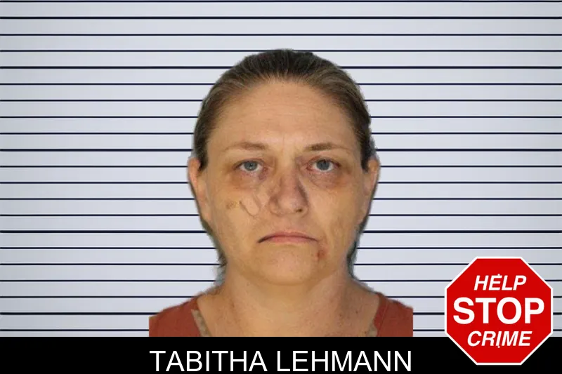 Tabitha Lehmann mugshot – Hall County , Georgia Tabitha Lehmann mugshot