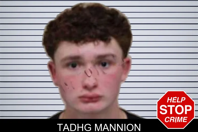 Tadhg Mannion mugshot