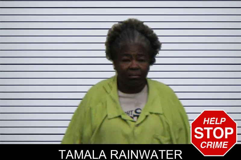 Tamala Rainwater mugshot