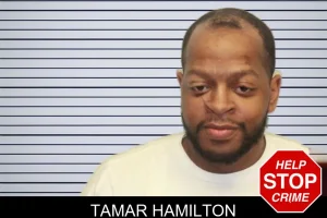 Tamar Hamilton mugshot